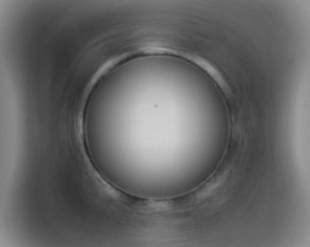 X0000113931191200910021236
