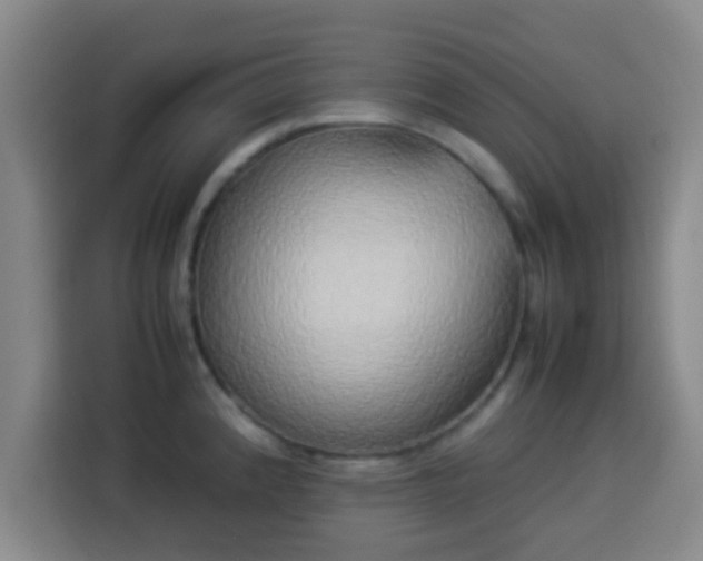 X0000113931192200910021236