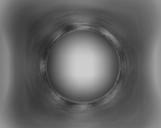 X0000113931193200910021236