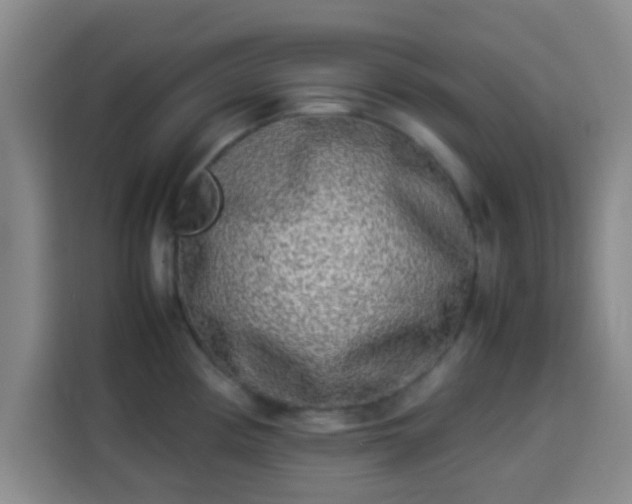 X0000113931194200910021236