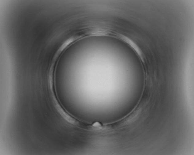 X0000113931195200910021236