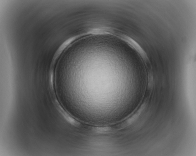X0000113931196200910021236
