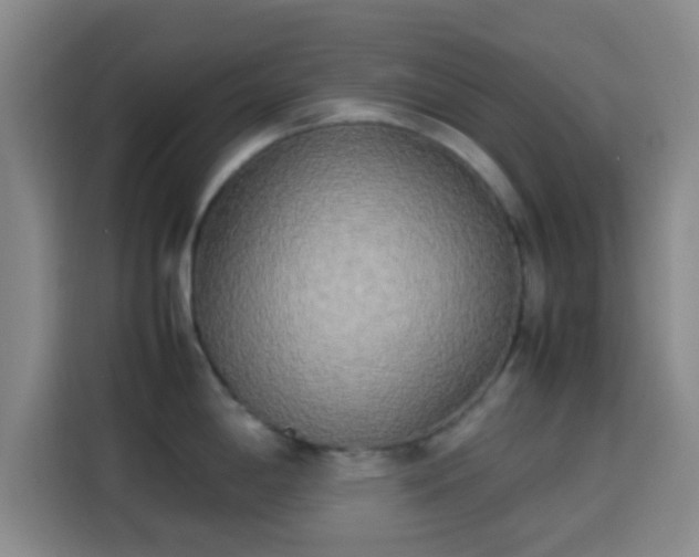 X0000113931198200910021236