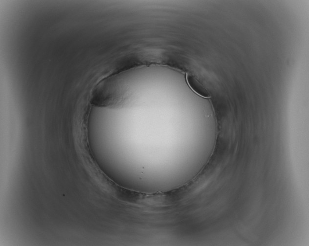 X0000113931201200910021235