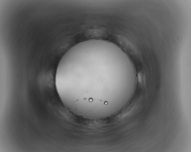 X0000113931203200910021235
