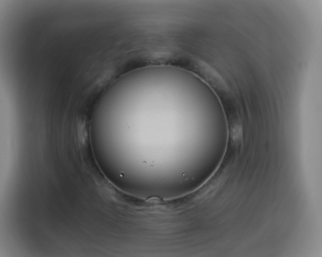 X0000113931204200910021235