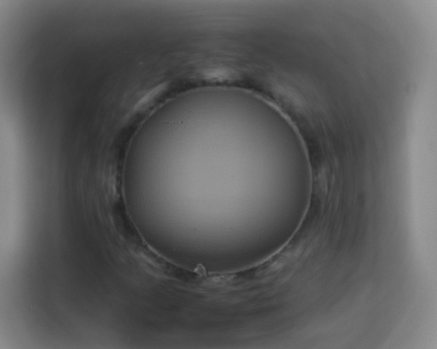 X0000113931205200910021235