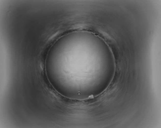 X0000113931206200910021235