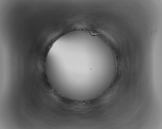 X0000113931207200910021235