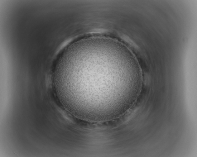 X0000113931208200910021235