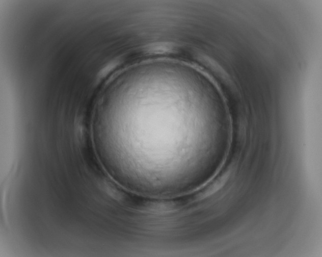 X0000113931210200910021235