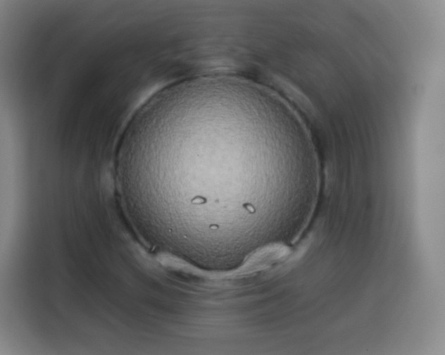 X0000113931212200910021235
