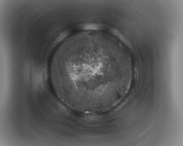 X0000113931213200910021235