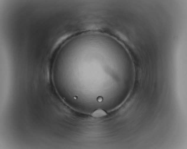 X0000113931214200910021235
