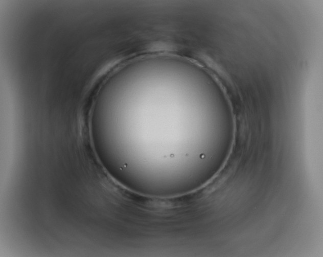 X0000113931215200910021235