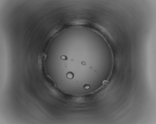 X0000113931217200910021235