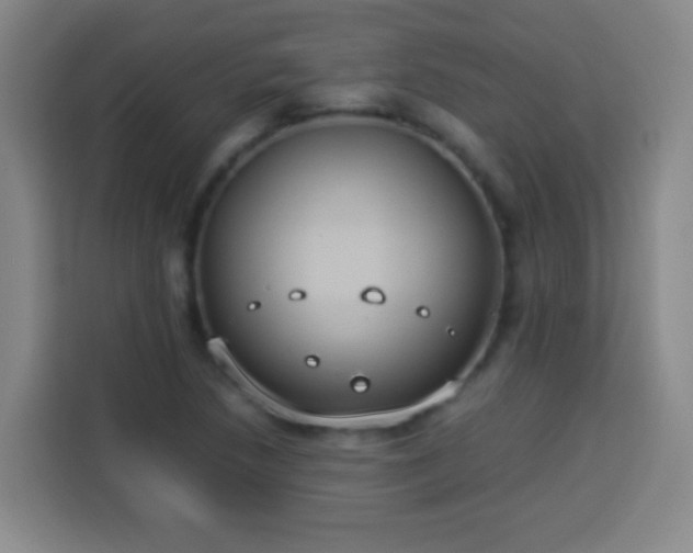 X0000113931218200910021235