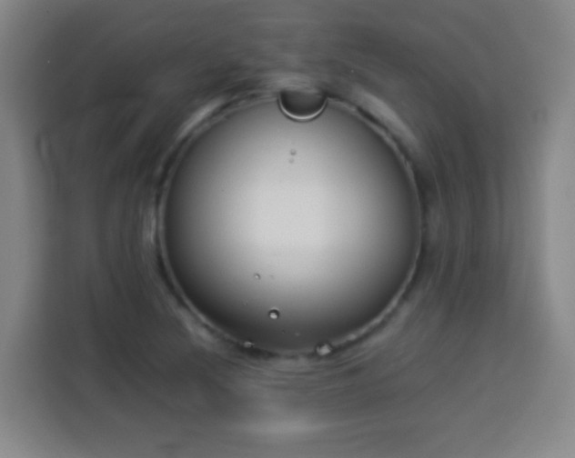 X0000113931220200910021236