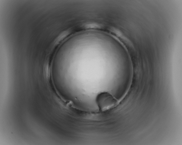 X0000113931221200910021236