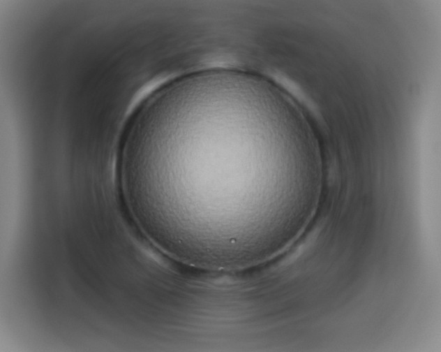 X0000113931222200910021236