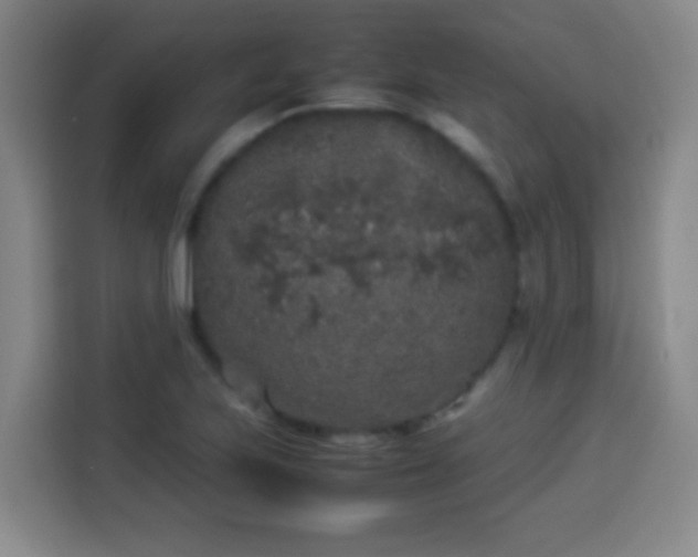 X0000113931223200910021236