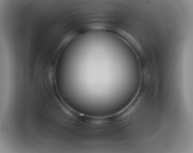 X0000113931225200910021236