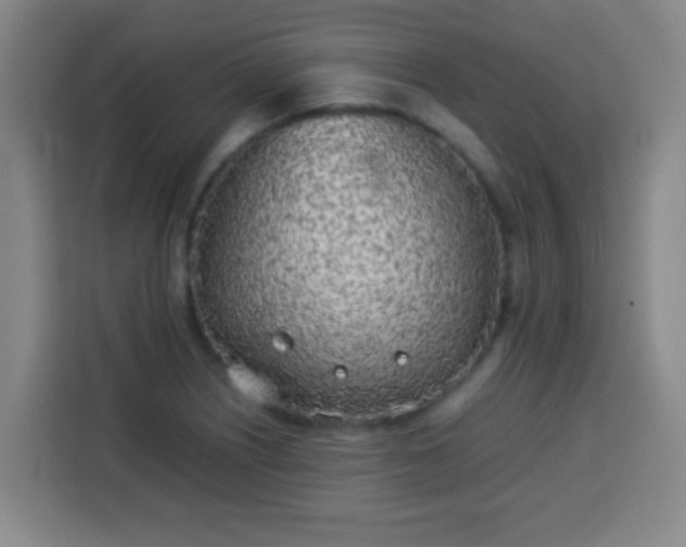 X0000113931226200910021236