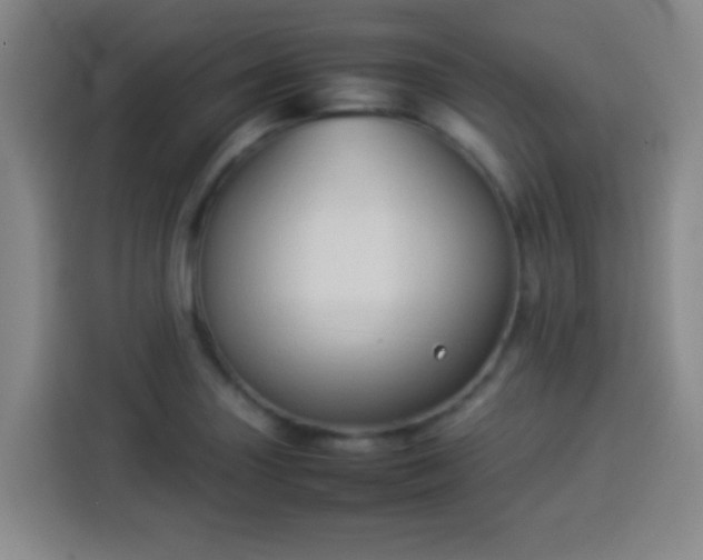 X0000113931227200910021236