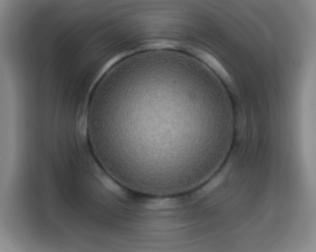 X0000113931228200910021236