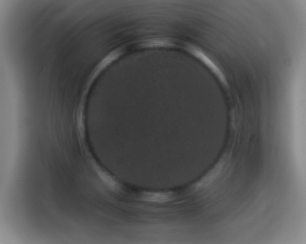 X0000113931229200910021236