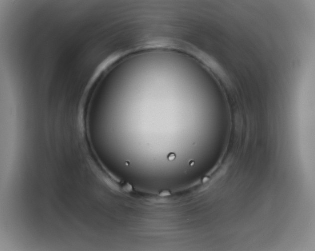 X0000113931230200910021236