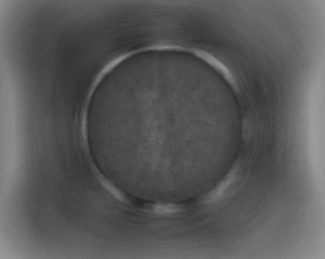 X0000113931231200910021236