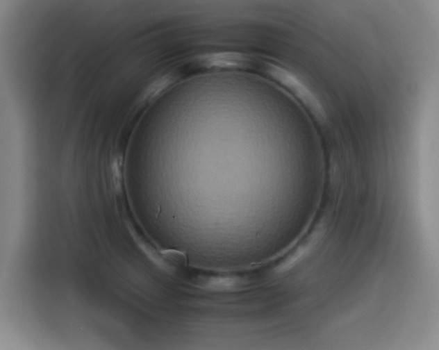 X0000113931233200910021236