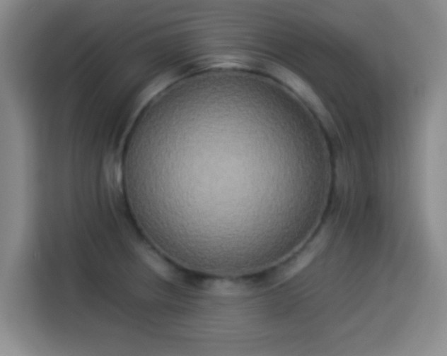 X0000113931234200910021236