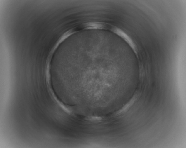 X0000113931235200910021236