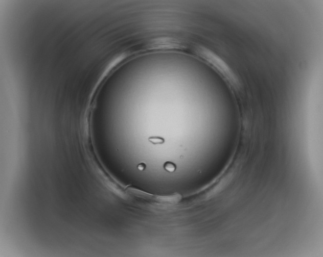 X0000113931236200910021236