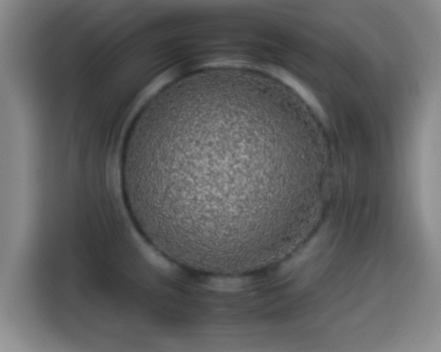X0000113931237200910021236