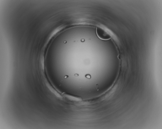 X0000113931238200910021236