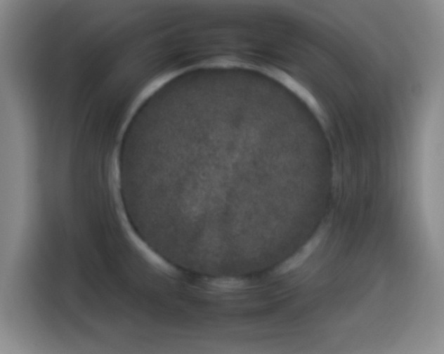X0000113931239200910021236
