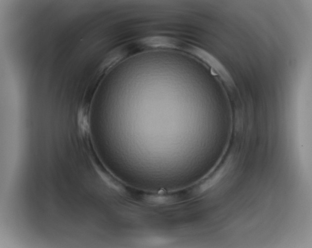 X0000113931241200910021236