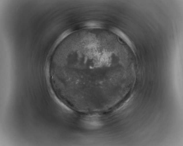 X0000113931243200910021236