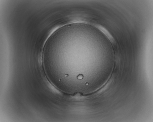 X0000113931244200910021236