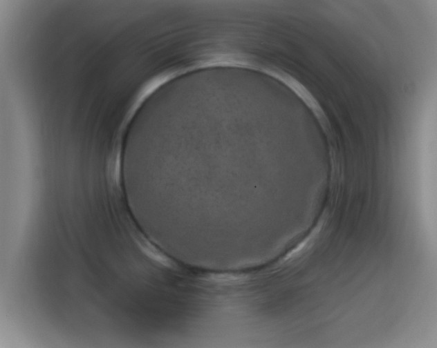 X0000113931246200910021236