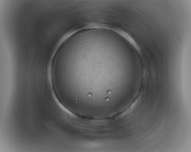 X0000113931247200910021236
