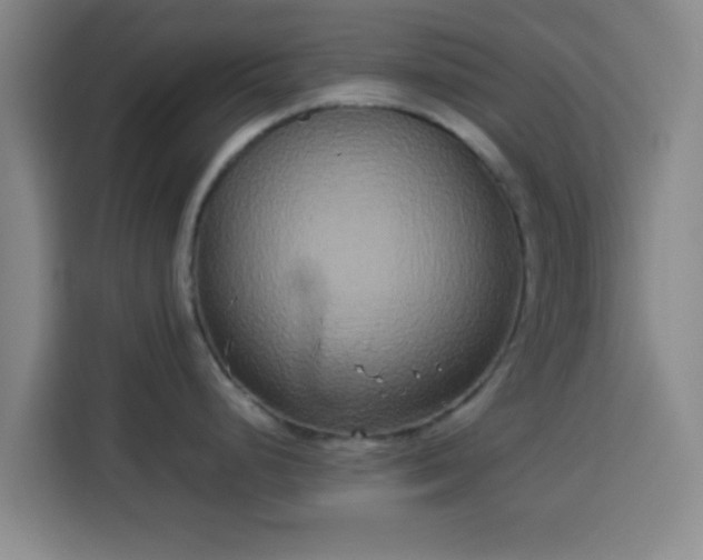 X0000113931248200910021236