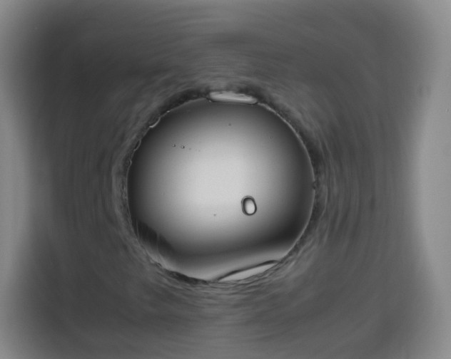 X0000113931249200910021235