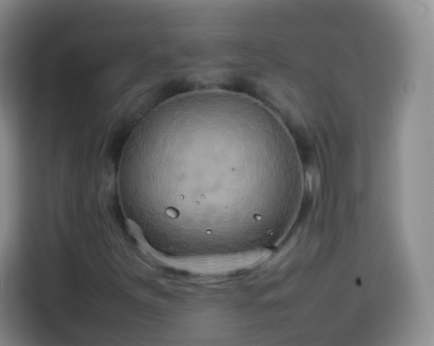 X0000113931251200910021235