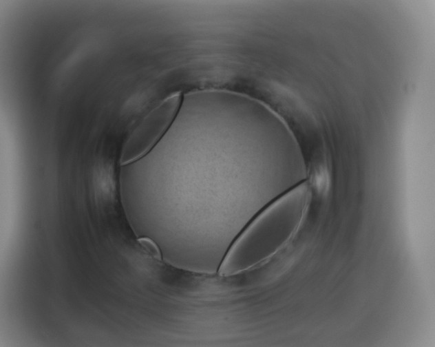 X0000113931252200910021235