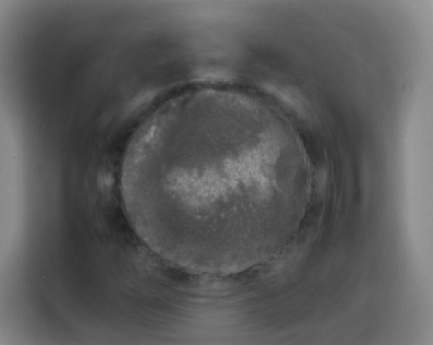 X0000113931254200910021235