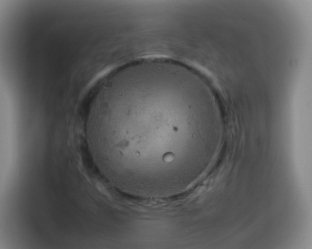 X0000113931255200910021235